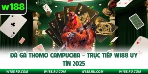 Đá Gà Thomo Campuchia – Trực Tiếp W188 Uy Tín 2025