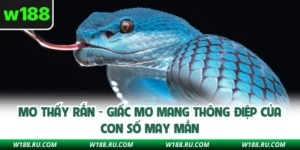 Mơ Thấy Rắn - Giấc Mơ Mang Thông Điệp Của Con Số May Mắn